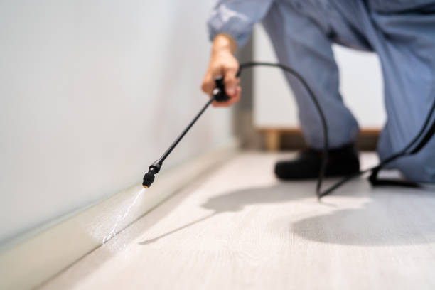 Licensed Pest Control service in Summersville, WV - Show Me Pest Control