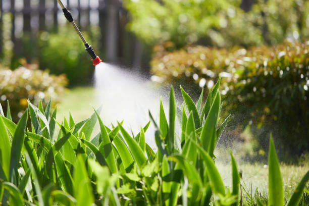 24/7 Emergency Mosquito Control experts in Summersville, WV