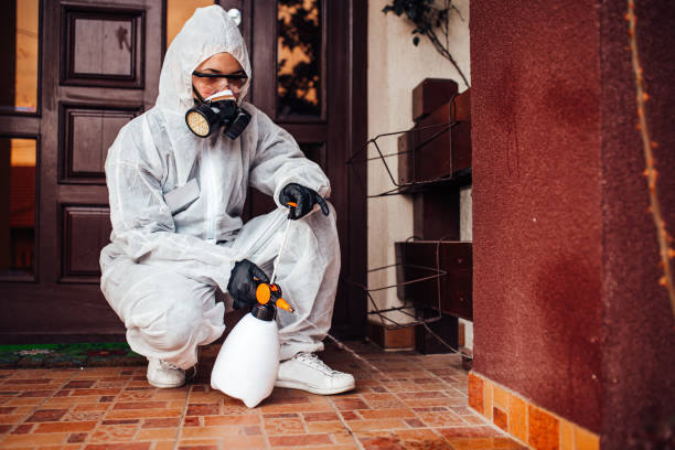 Reliable Mosquito Control contractor in Summersville, WV by Show Me Pest Control