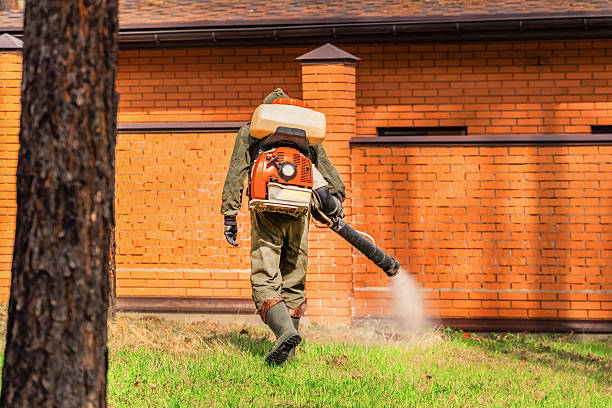 Top rated local Mosquito Control specialists in Summersville, WV
